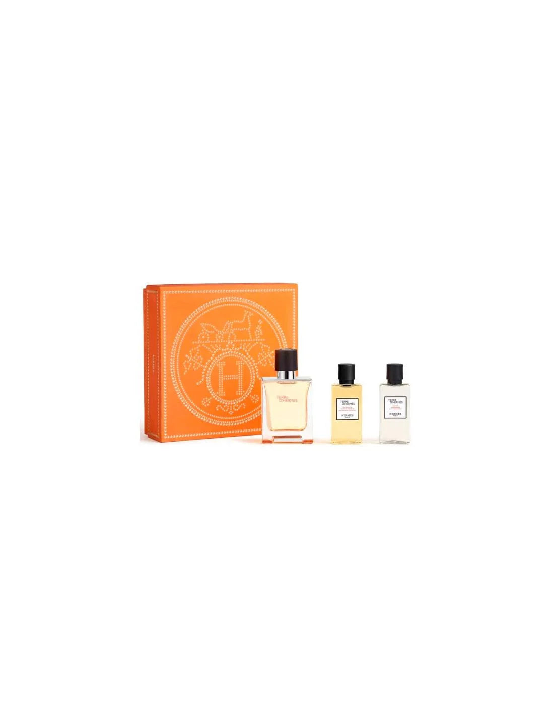 Hermès Terre D'hermes und T 50 Sprühgel40 Ash40