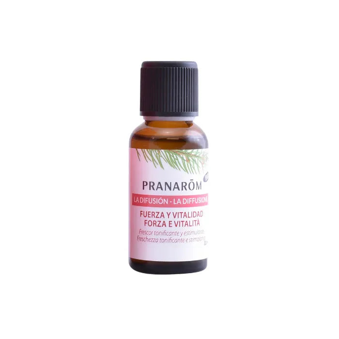 Pranarôm Diffusion Stärke & Vitalität 30ml