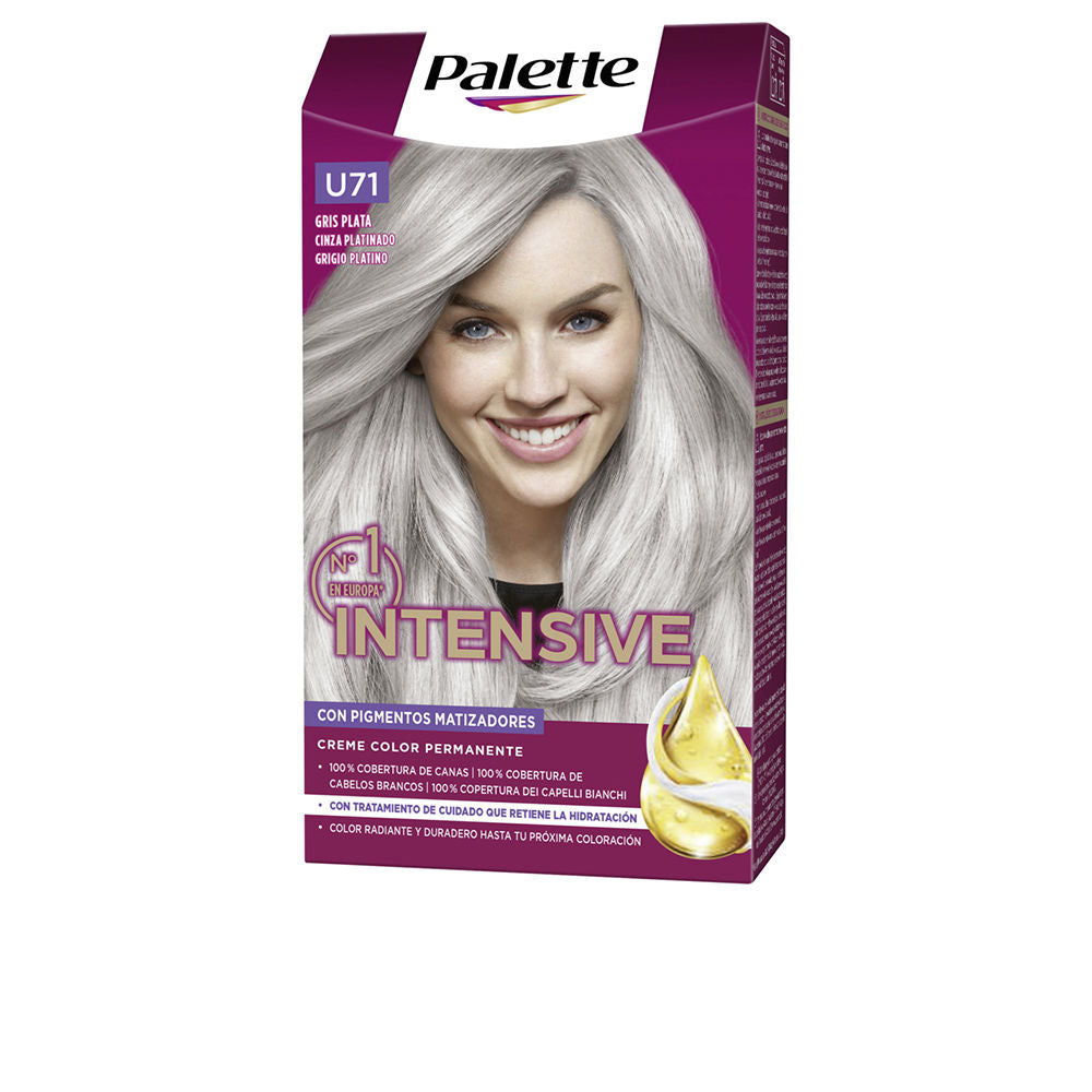 PALETTE INTENSIVE dye #U71-silver gray