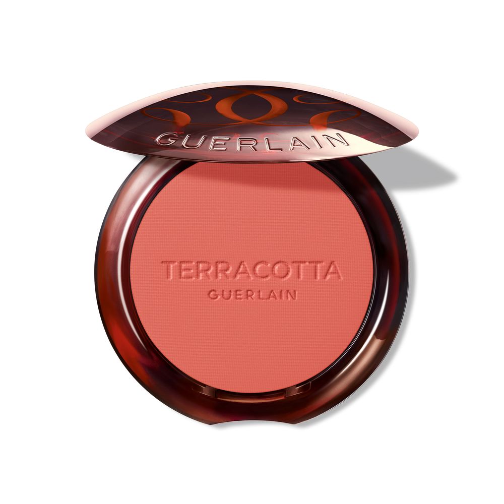 TERRACOTTA BLUSH blush effect good face #05