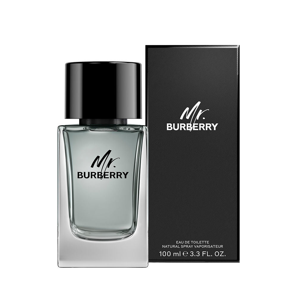 MR. BURBERRY edt vapo 100 ml