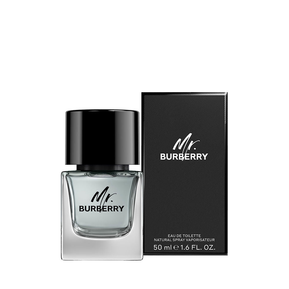 MR. BURBERRY edt vapo 50 ml