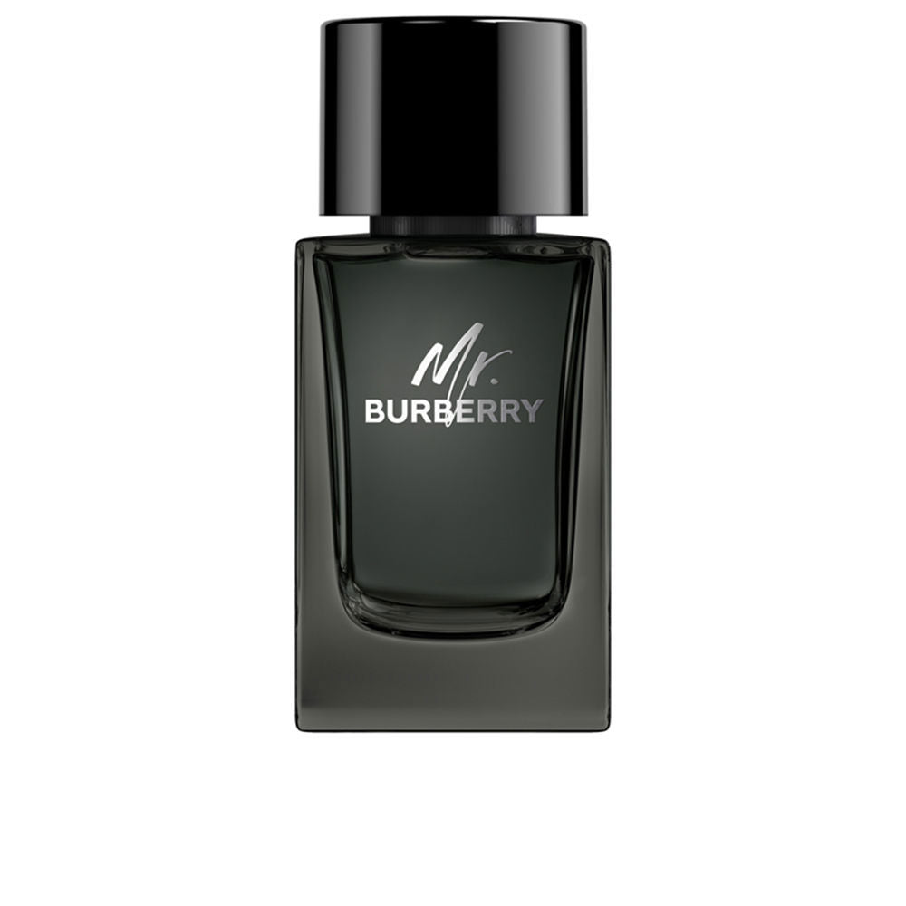 MR. BURBERRY eau de parfum vapor