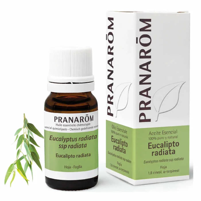 Pranarom Huile Essentielle Eucalyptus Radiata 10ml