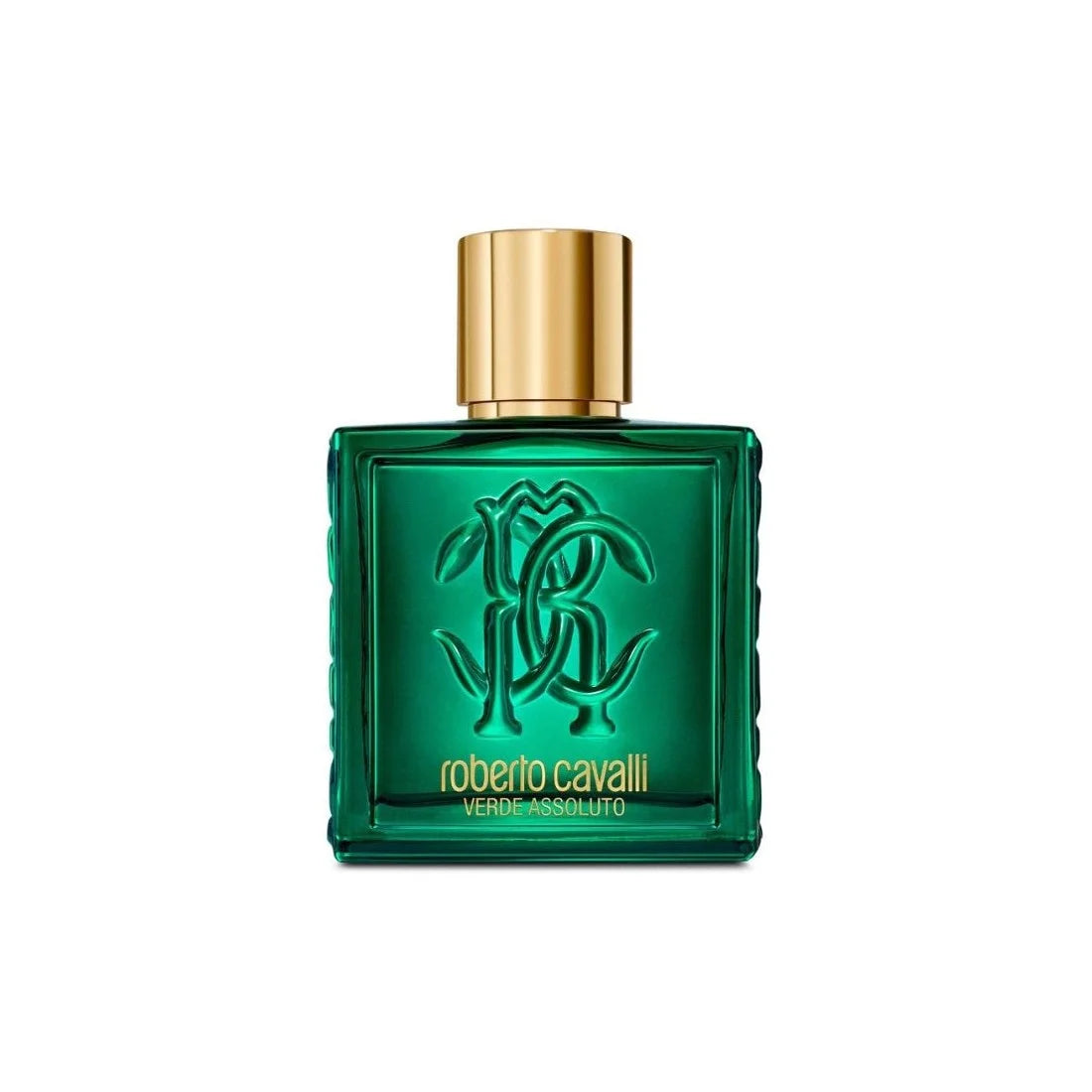 Roberto Cavalli Rc Uomo Verde Assoluto Eau de Parfum 100ml