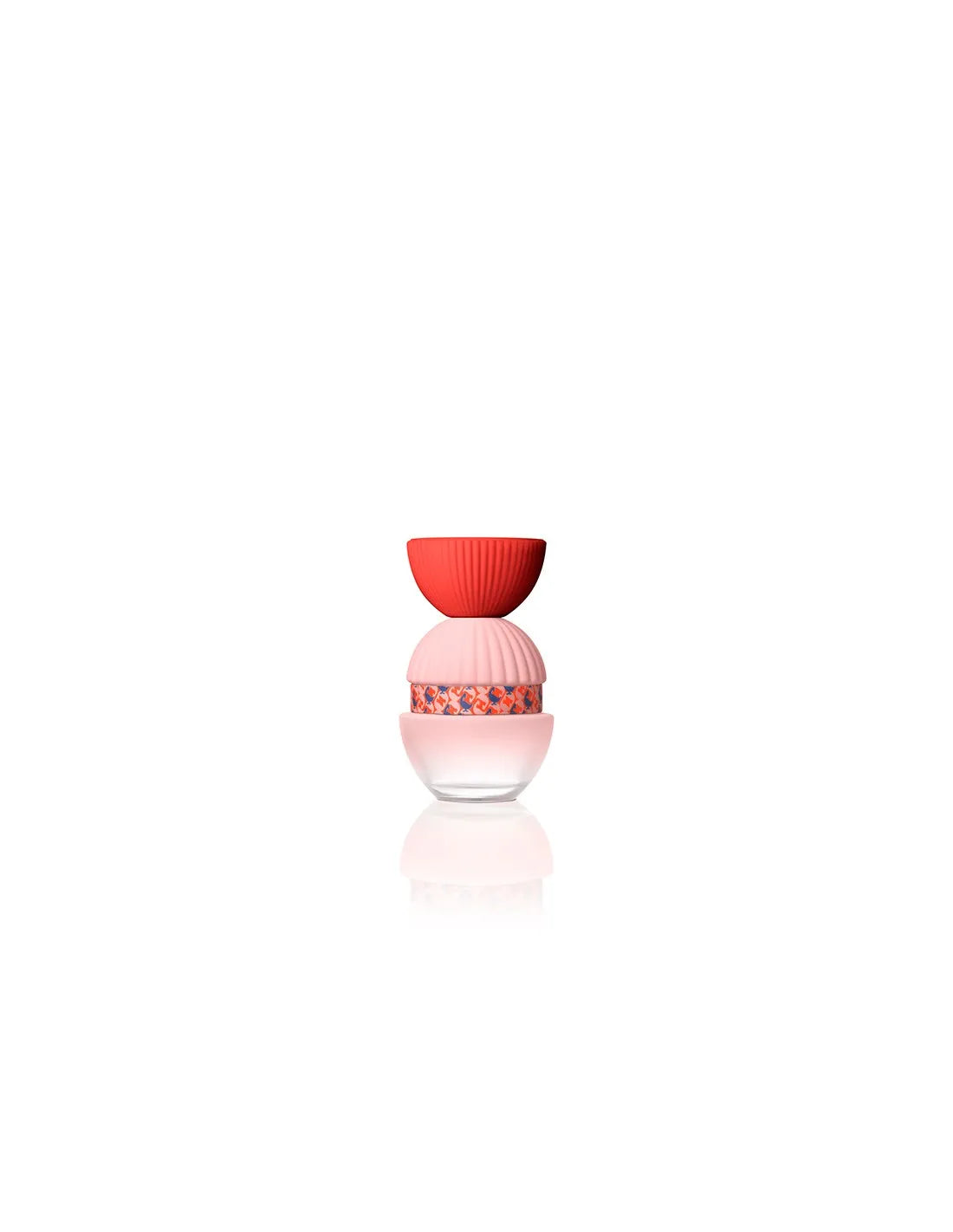 El Ganso Fun et Chic Edp 100 Vaporisateur