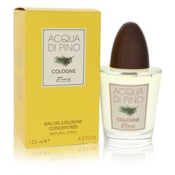 Acqua di Pino by Pino Silvestre - Eau De Cologne Concentree Spray 4.2 oz