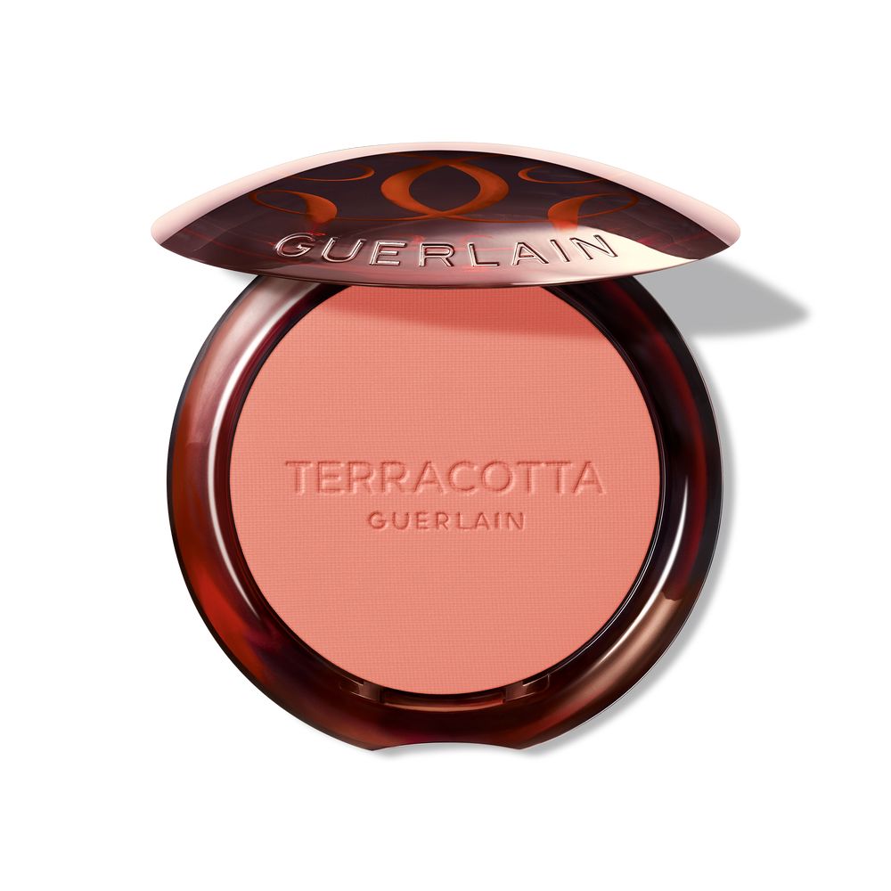 TERRACOTTA BLUSH blush effect good face #02